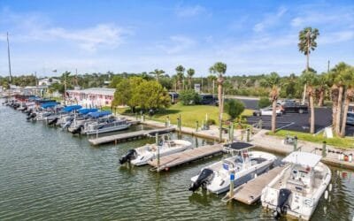 December in Hernando Beach: Your Cozy Winter Escape on Florida’s Adventure Coast